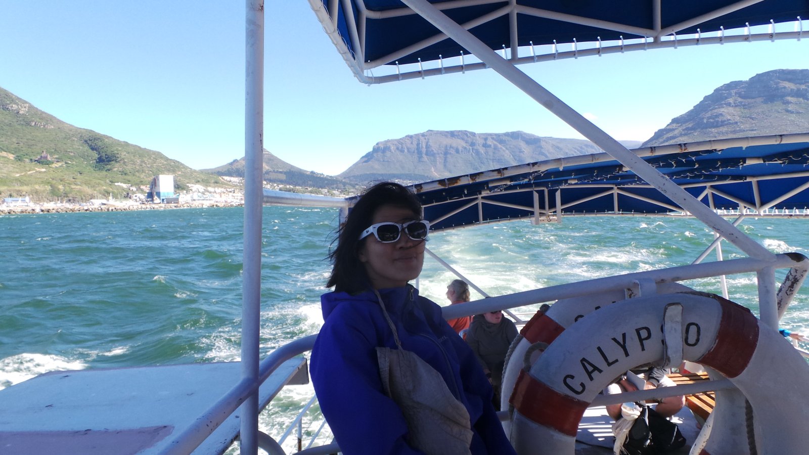 Seal Watching19
